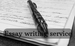 Essay writing service