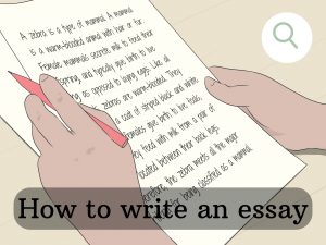 How to write an essay