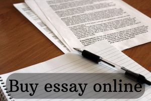 Buy essay online