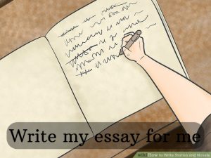 Write my essay for me