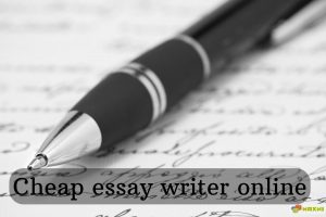 Cheap essay writer online