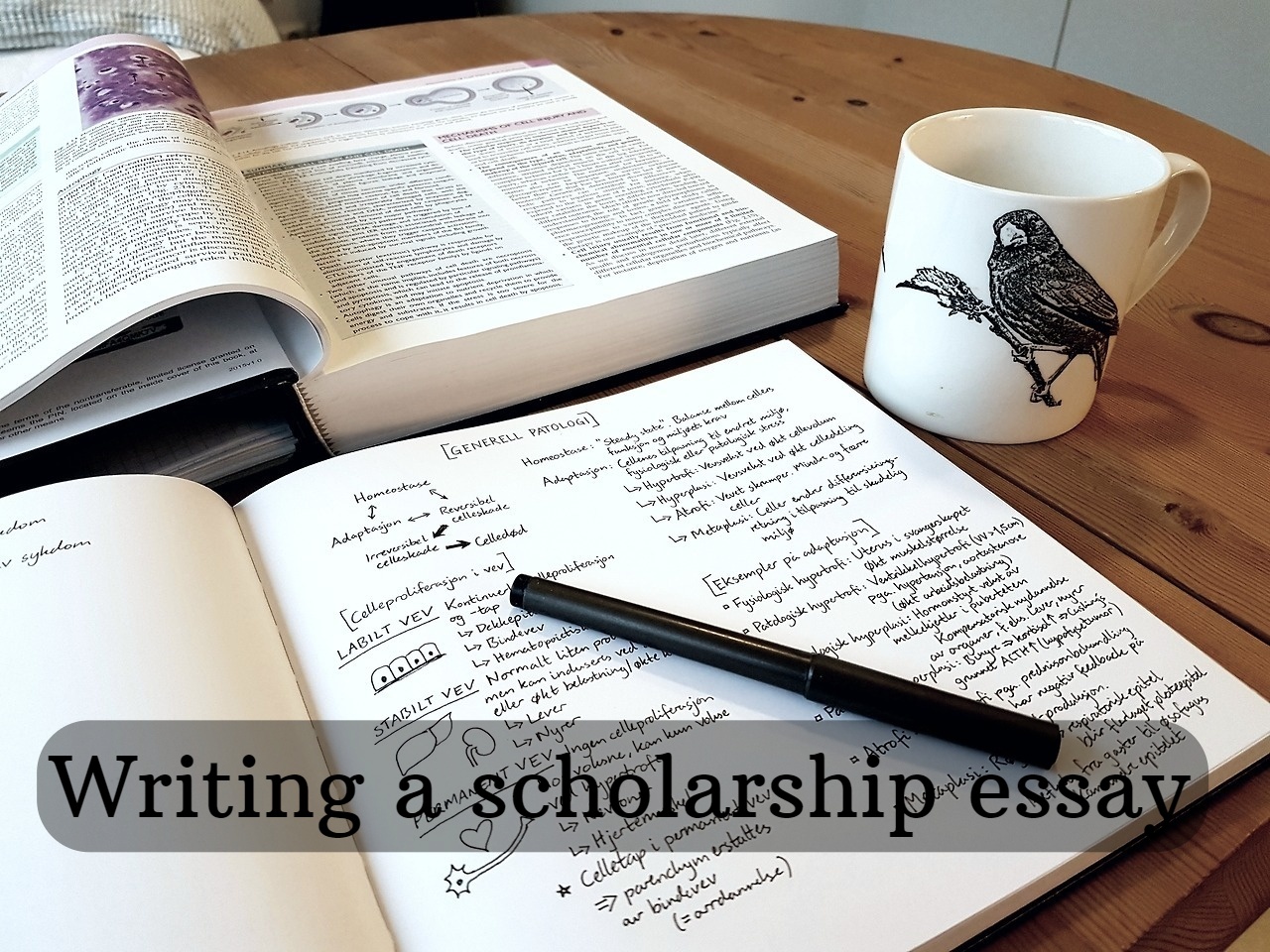 Writing a scholarship essay
