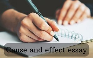 Cause and effect essay