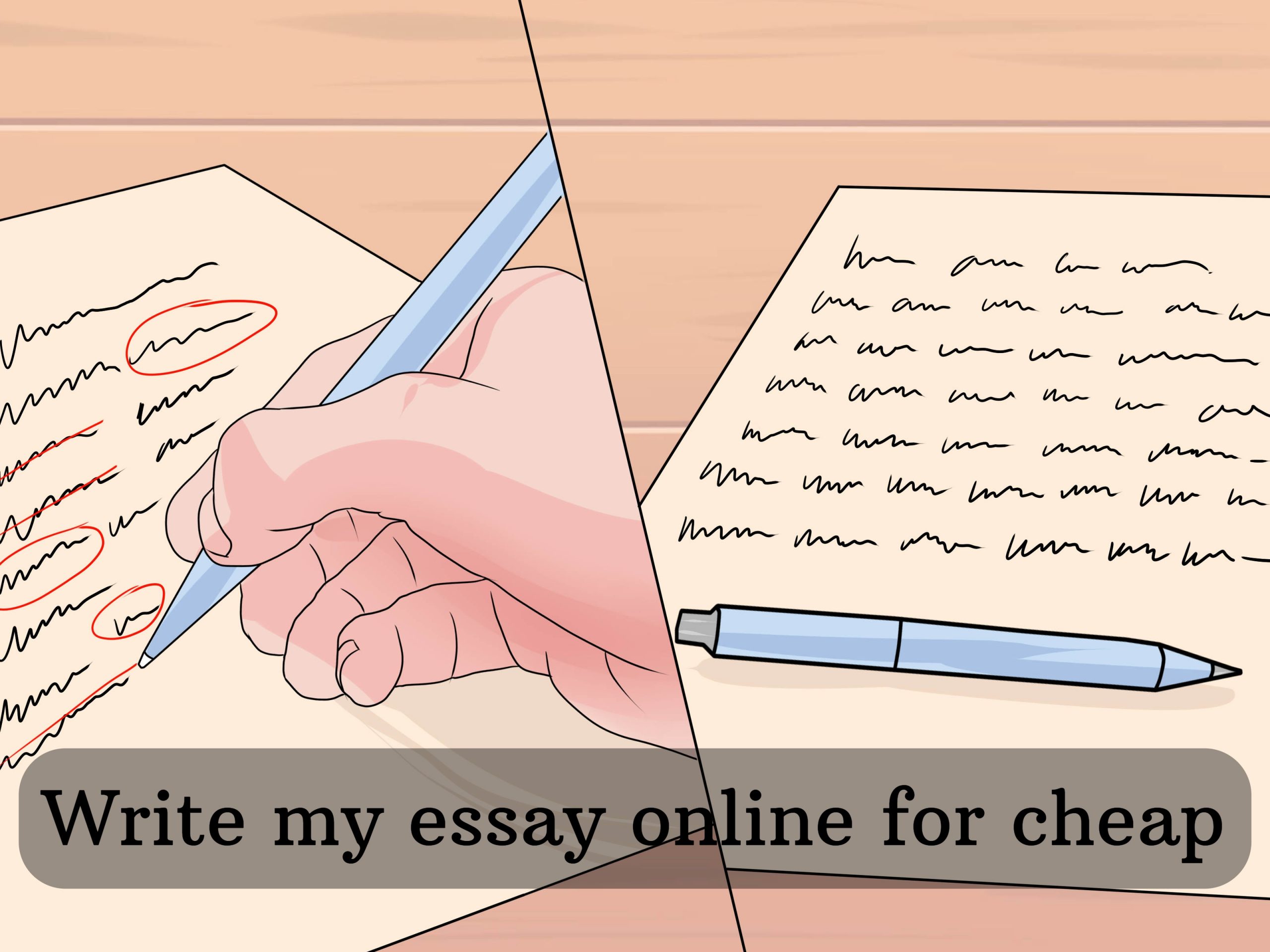 Write my essay online for cheap