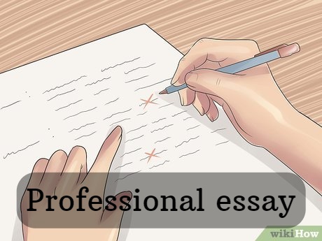 Professional essay