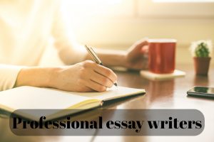 Professional essay writers