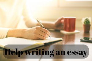 Help writing an essay